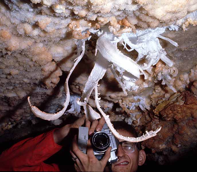 Gypsum Flowers, Fitton Cave, AR
 (model: Pete Lindsley, photographer: Carl Kunath
