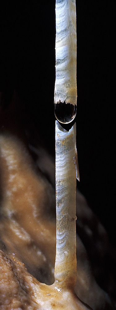 Soda Straw Repairing Itself, Caverns of Sonora - Photo Carl Kunath