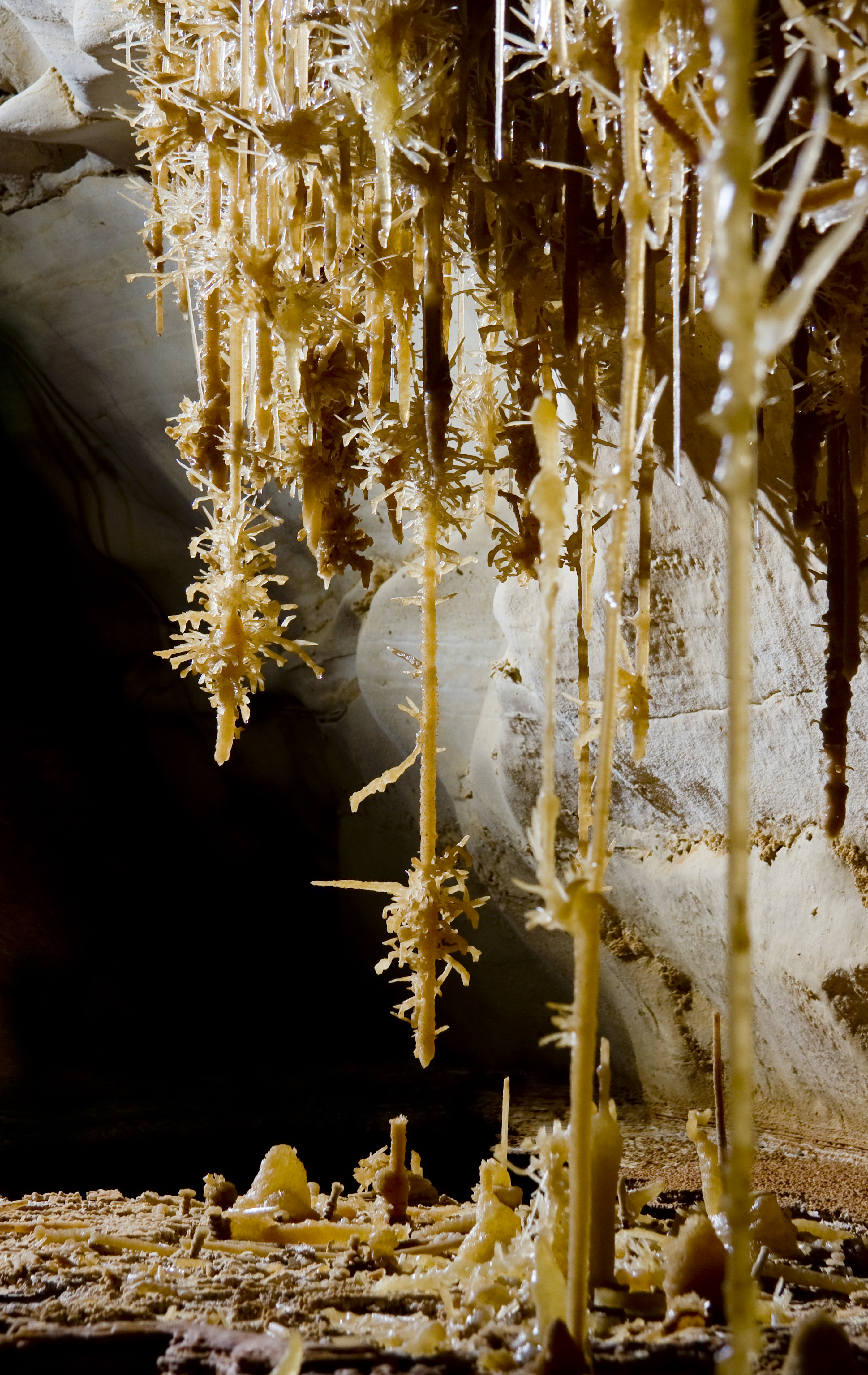 pretty things where? - Photo Travis Scott