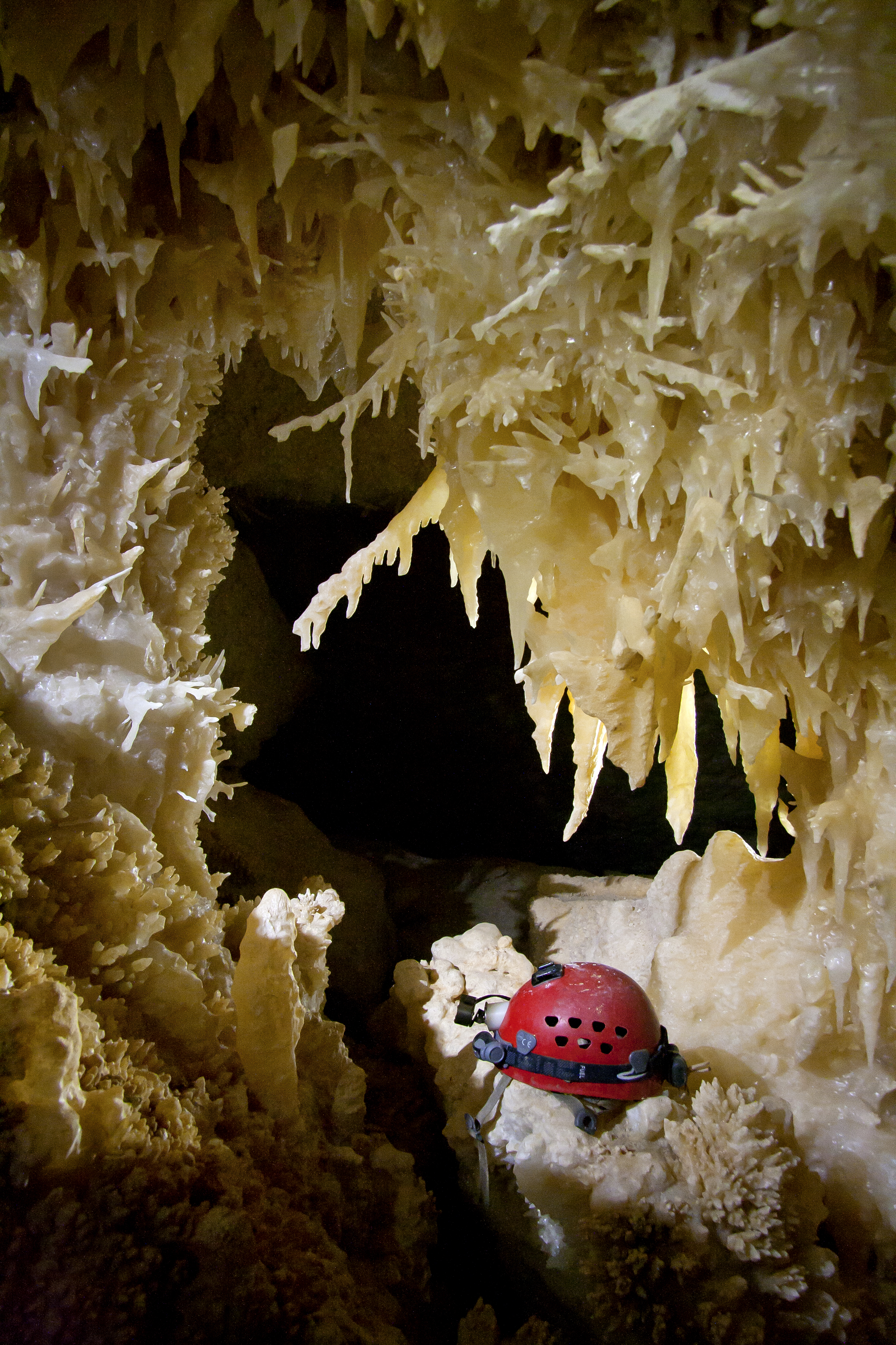 Helictites in Midnight Cave - Photo Travis Scott