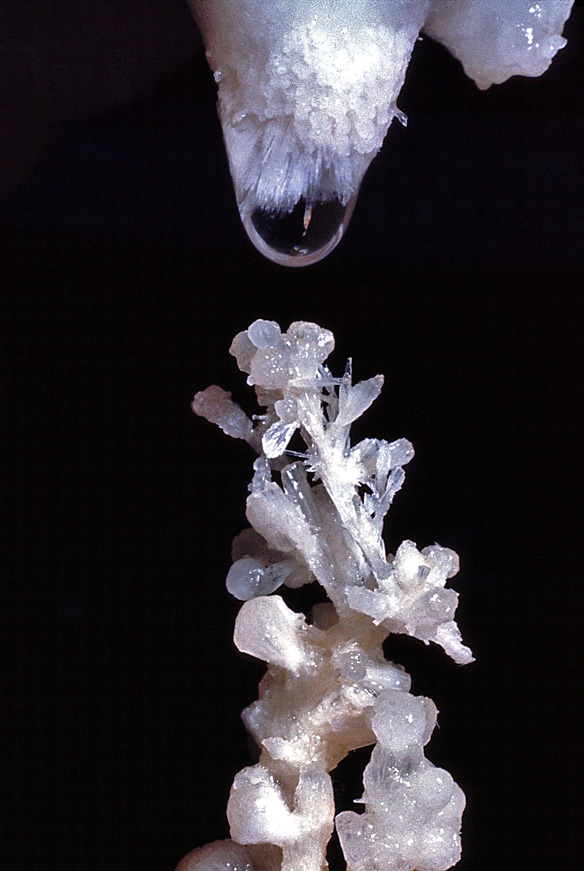 Spire and Drop Merging (now destroyed),
Caverns of Sonora - Photo Carl Kunath